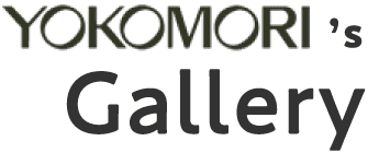 YOKOMORI's Gallery